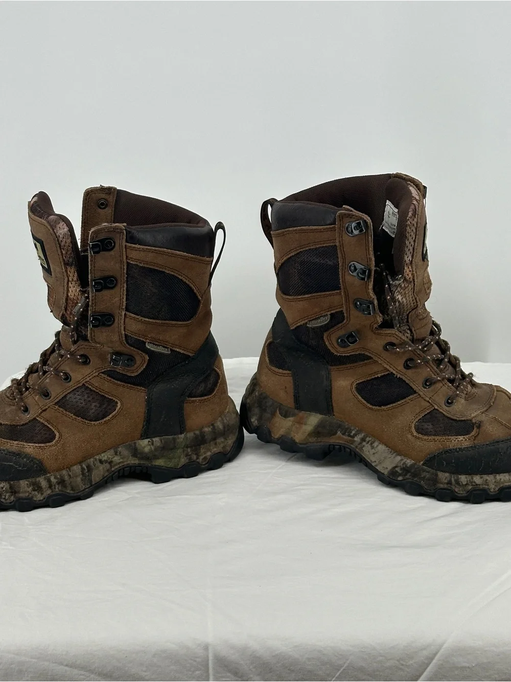 Irish Setter sturdy irish